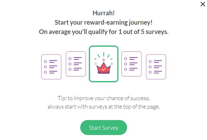 survey junkie Points System