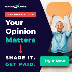 survey junkie your opinion matters