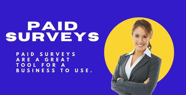 paid surveys and seo