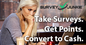 Survey Junkie banner