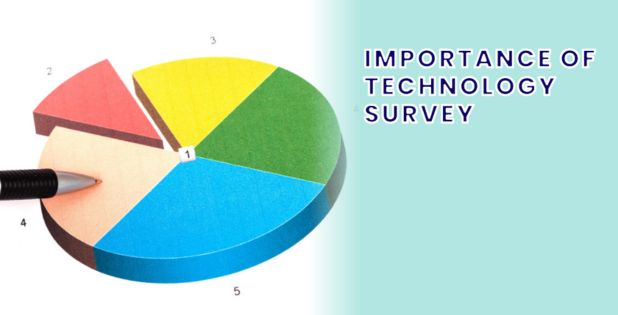 Importance of Technology Survey