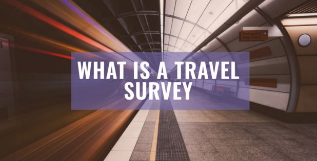 What is a Travel Survey